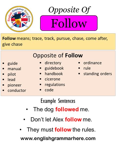 follow opposite word|antonym for follow.